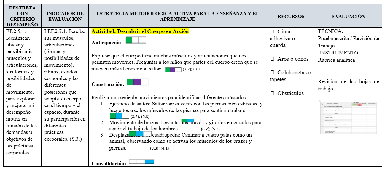 Mega Pack Docente® 2do de Básica