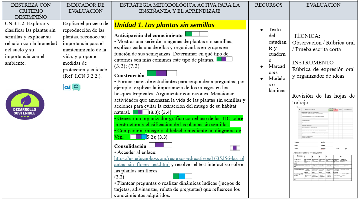 Mega Pack Docente® 6to de Básica