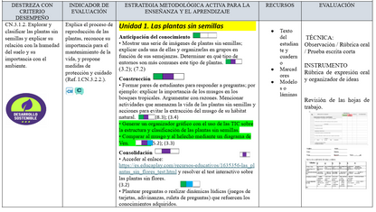 Mega Pack Docente® 6to de Básica