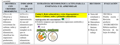 Mega Pack Docente® 8vo  año Ciencias Naturales