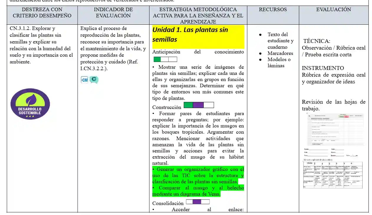 Mega Pack Docente® 6to de Básica
