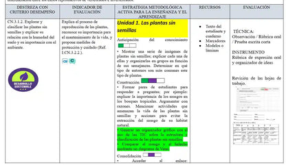 Mega Pack Docente® 6to de Básica